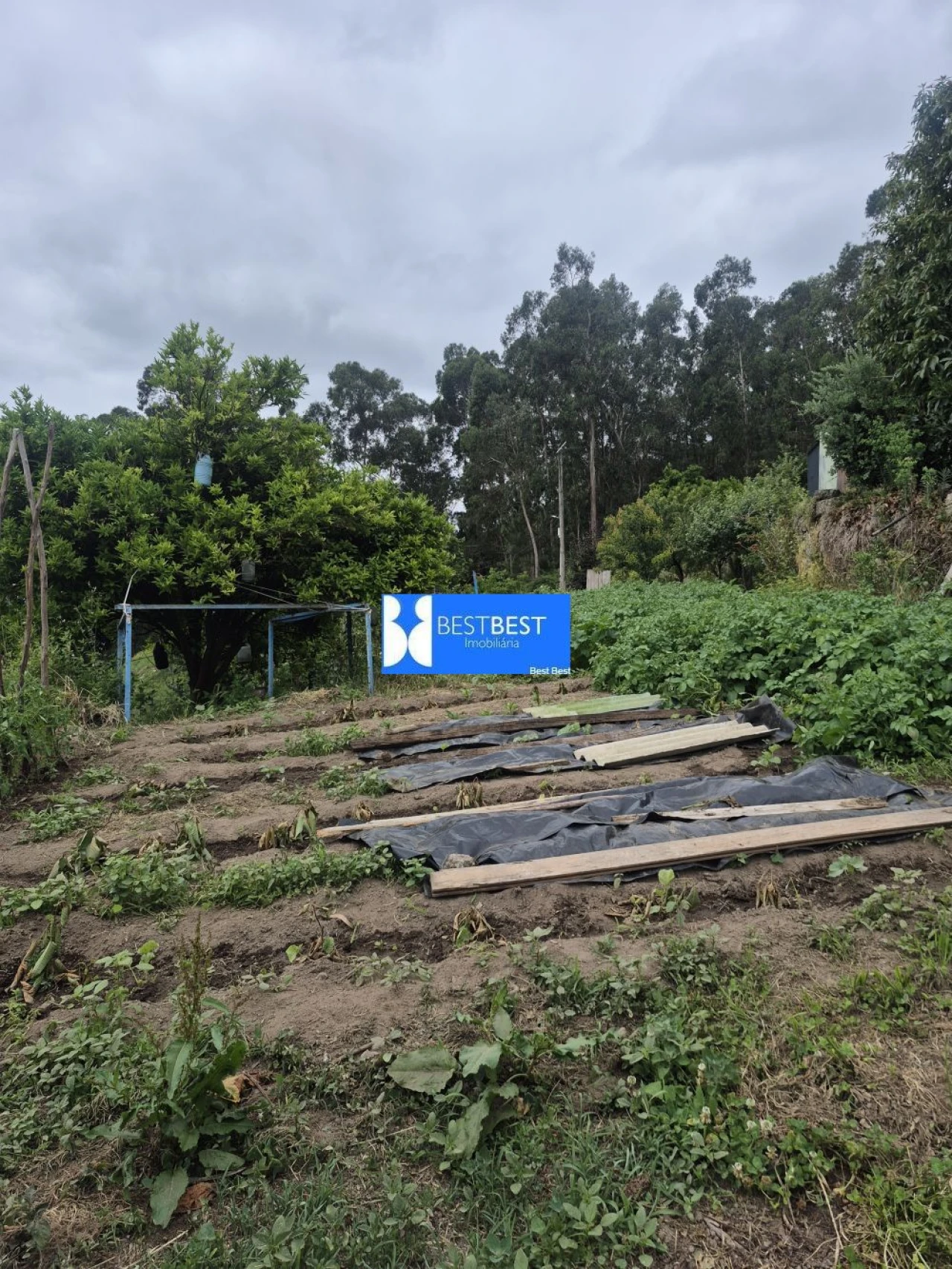 Moradia T3 para Venda em Vale (São Cosme), Telhado e Portela Foto 28