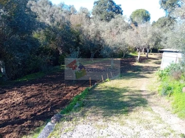 Terreno para Venda em Galveias