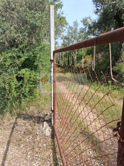 Terreno para Venda em Galveias