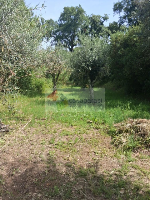 Terreno para Venda em Galveias