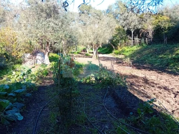 Terreno para Venda em Galveias