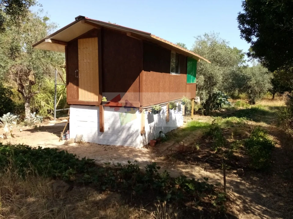 Terreno para Venda em Galveias Foto 1