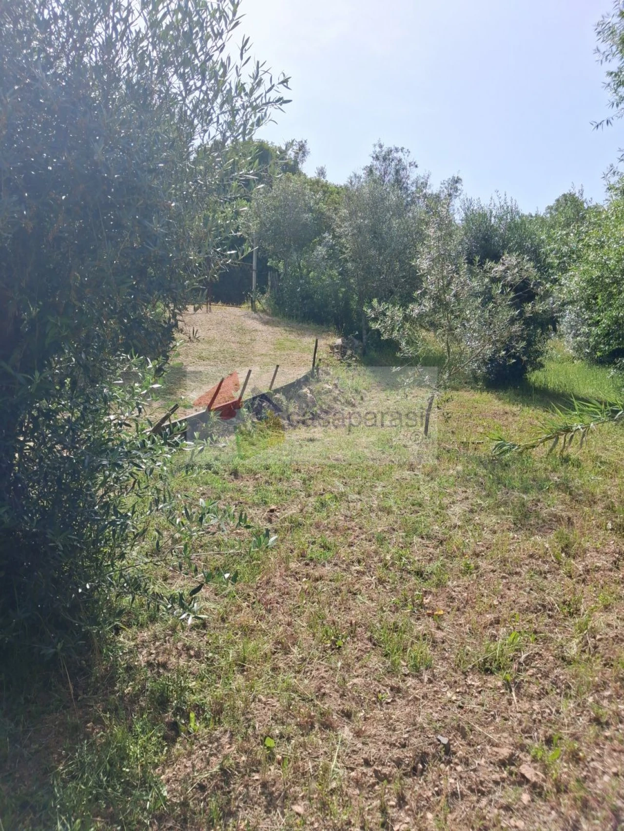 Terreno para Venda em Galveias Foto 17