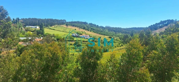 Moradia T6 para Venda em Mafra