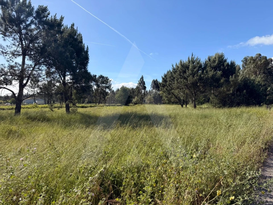 Terreno para Venda em Ouca Foto 1