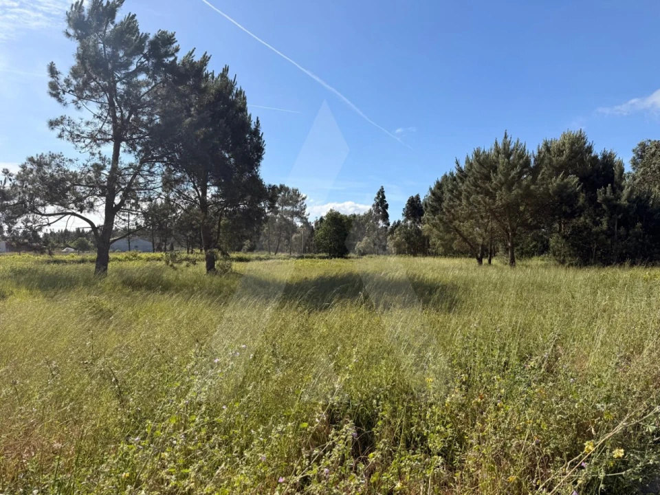 Terreno para Venda em Ouca Foto 2