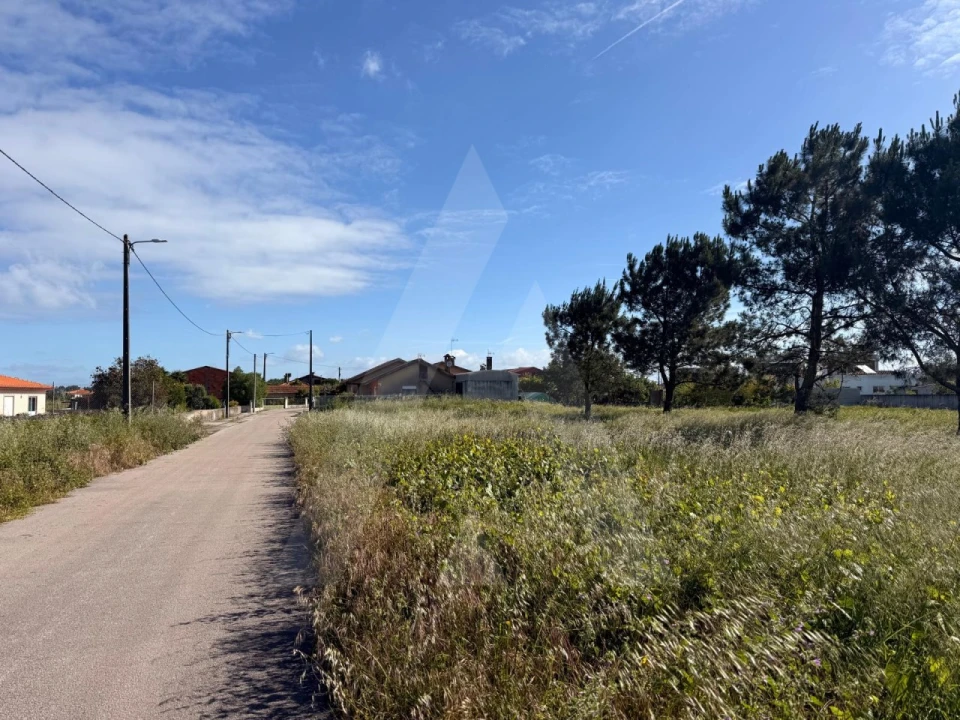 Terreno para Venda em Ouca Foto 5