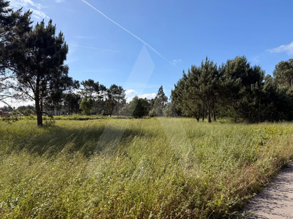 Terreno para Venda em Ouca Foto 6