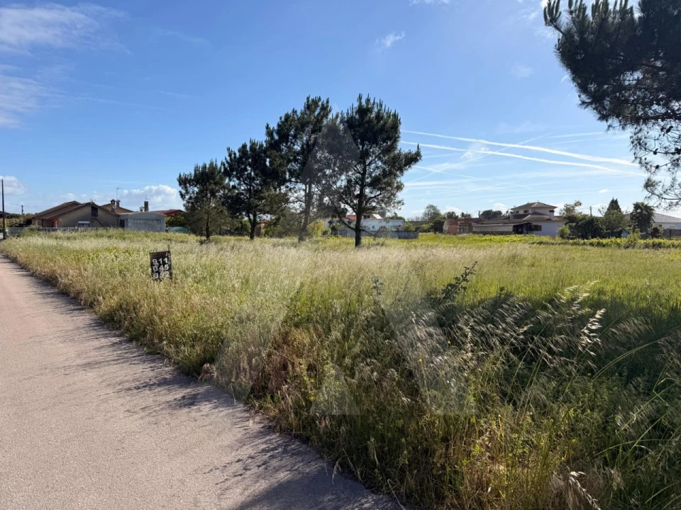 Terreno para Venda em Ouca Foto 11