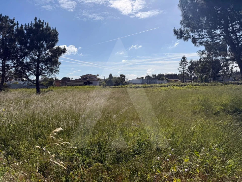 Terreno para Venda em Ouca Foto 14