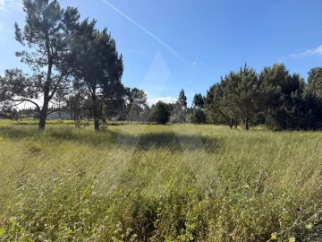 Terreno para Venda em Ouca