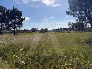 Terreno para Venda em Ouca