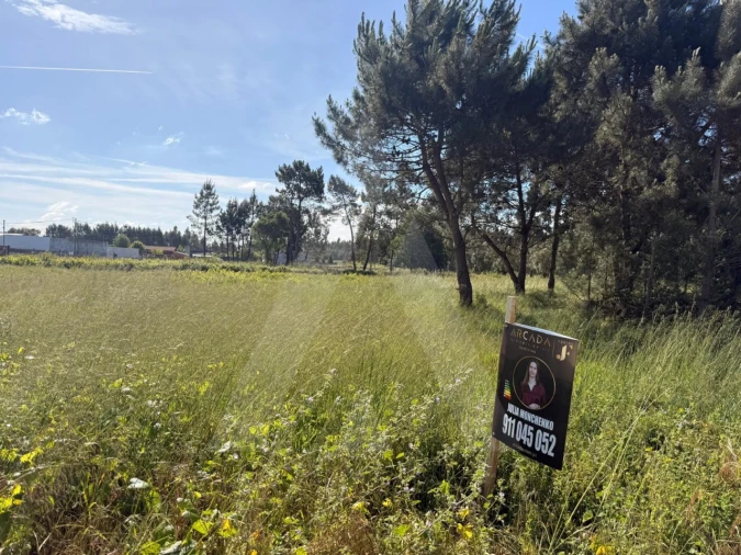 Terreno para Venda em Ouca Foto 4