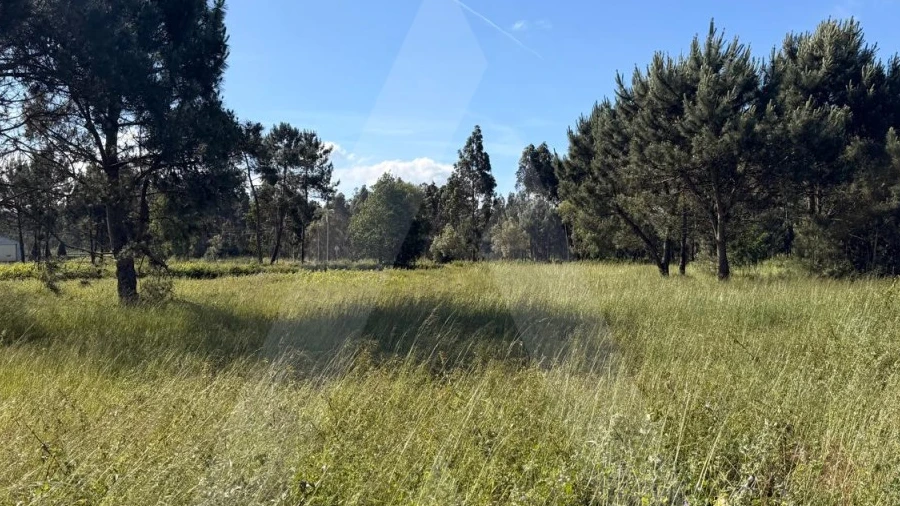 Terreno para Venda em Ouca