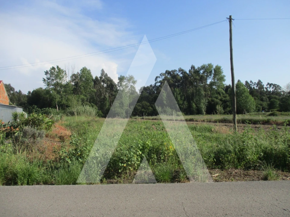 Terreno para Venda em Bustos, Troviscal e Mamarrosa Foto 1