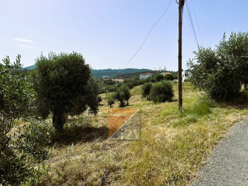 Terreno para Venda em Santa Catarina da Serra e Chainça Foto 7