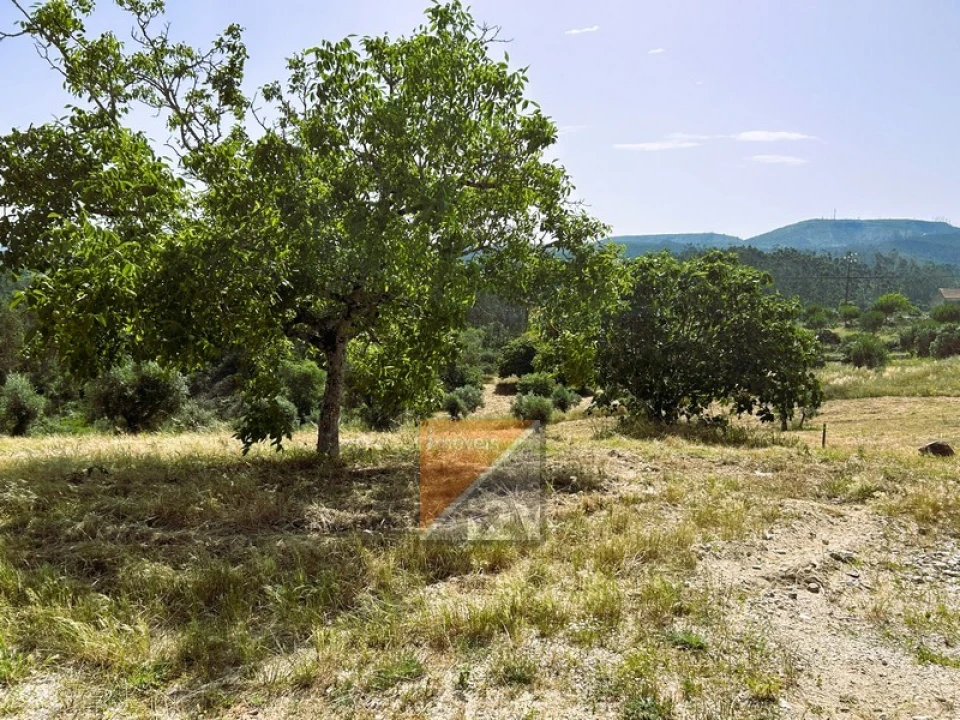 Terreno para Venda em Santa Catarina da Serra e Chainça Foto 10