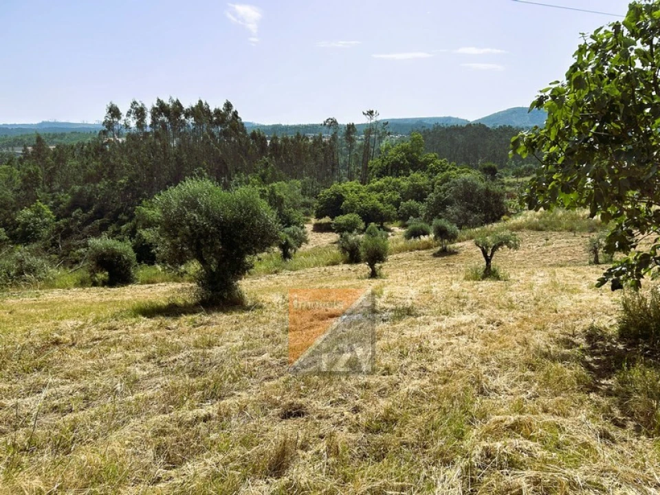 Terreno para Venda em Santa Catarina da Serra e Chainça Foto 11