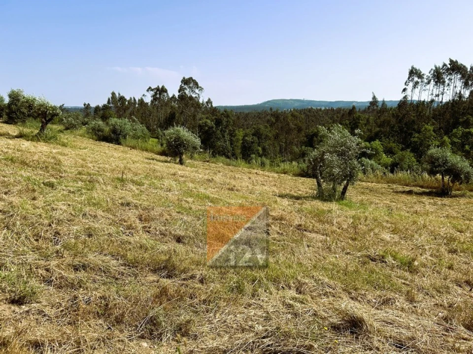 Terreno para Venda em Santa Catarina da Serra e Chainça Foto 12
