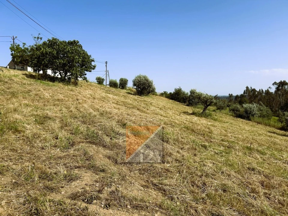 Terreno para Venda em Santa Catarina da Serra e Chainça Foto 14
