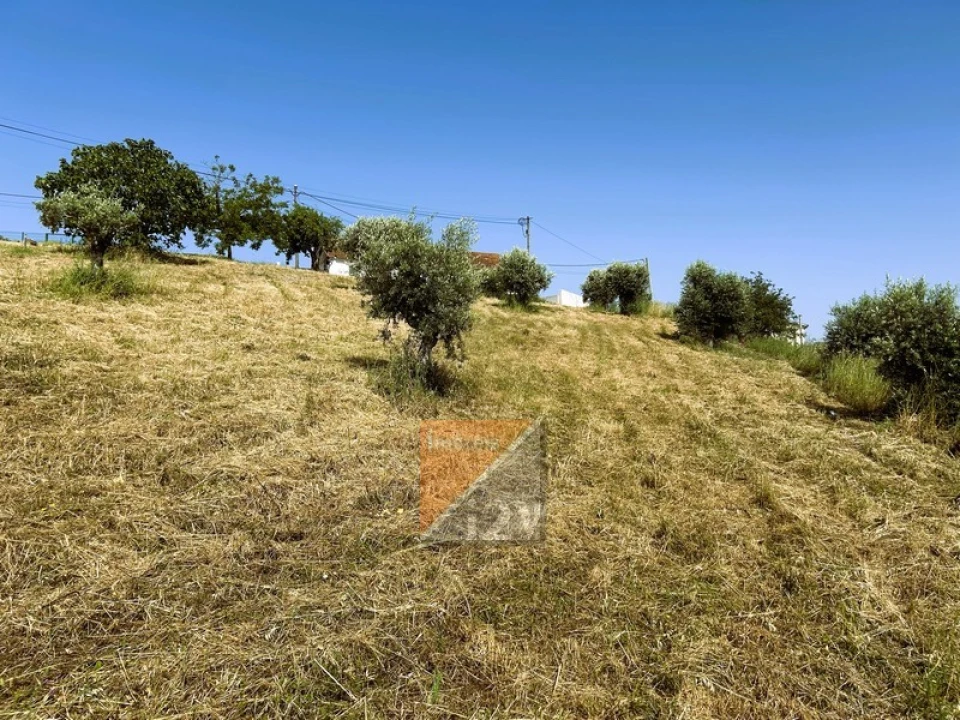 Terreno para Venda em Santa Catarina da Serra e Chainça Foto 17