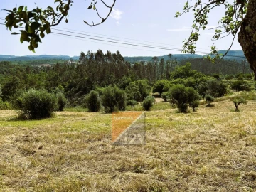 Terreno para Venda em Santa Catarina da Serra e Chainça