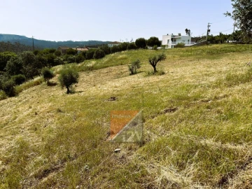Terreno para Venda em Santa Catarina da Serra e Chainça