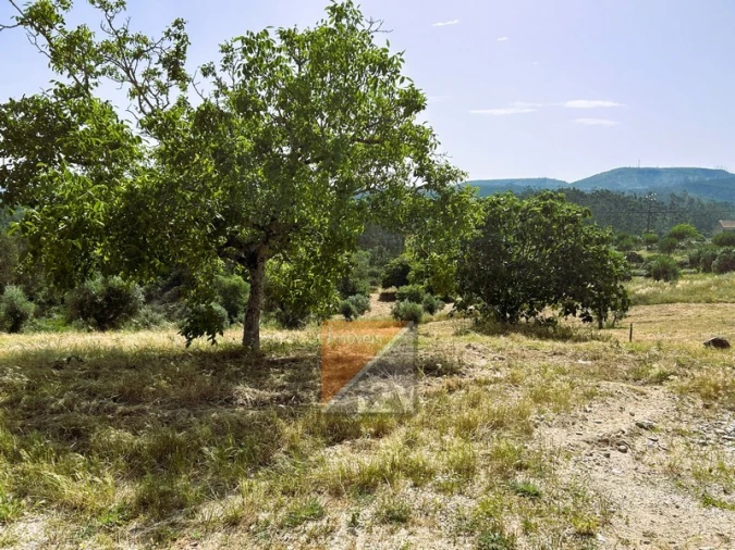 Terreno para Venda em Santa Catarina da Serra e Chainça Foto 10