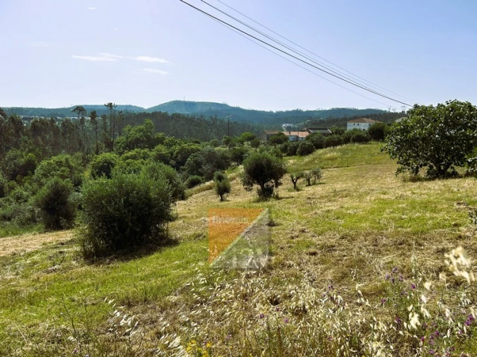 Terreno para Venda em Santa Catarina da Serra e Chainça Foto 13