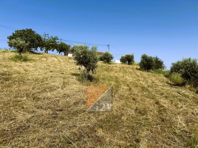 Terreno para Venda em Santa Catarina da Serra e Chainça Foto 17