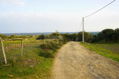 Terreno para Venda em Grândola e Santa Margarida da Serra