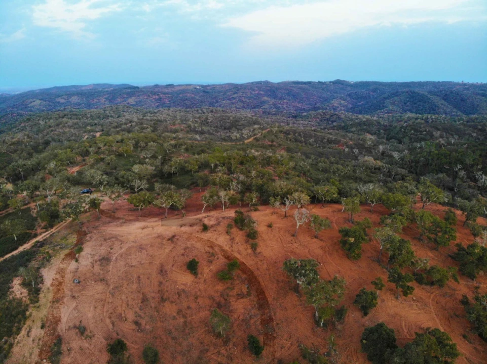 Terreno para Venda em Grândola e Santa Margarida da Serra Foto 10