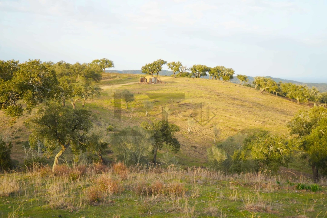 Terreno para Venda em Grândola e Santa Margarida da Serra Foto 15