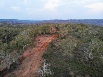 Terreno para Venda em Grândola e Santa Margarida da Serra