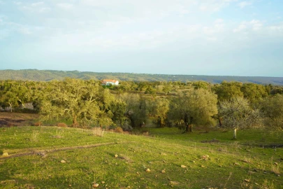 Terreno para Venda em Grândola e Santa Margarida da Serra