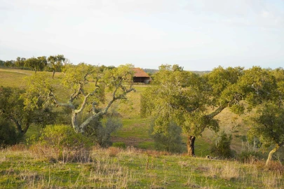 Terreno para Venda em Grândola e Santa Margarida da Serra