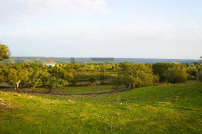 Terreno para Venda em Grândola e Santa Margarida da Serra