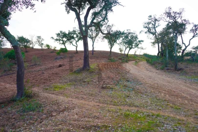 Terreno para Venda em Grândola e Santa Margarida da Serra