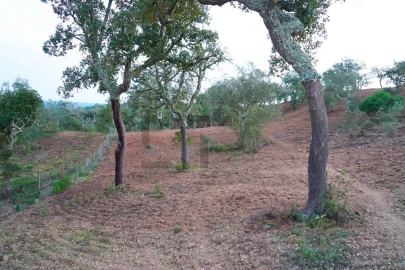 Terreno para Venda em Grândola e Santa Margarida da Serra