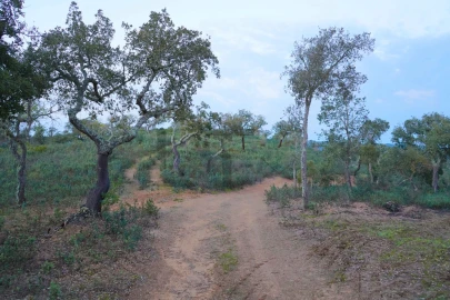 Terreno para Venda em Grândola e Santa Margarida da Serra