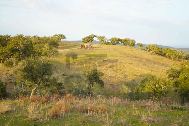 Terreno para Venda em Grândola e Santa Margarida da Serra Foto 15