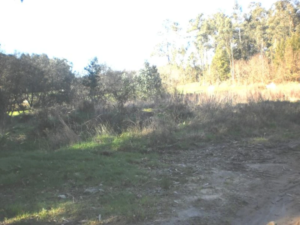 Terreno para Venda em Gião Foto 7