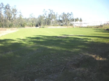 Terreno para Venda em Gião