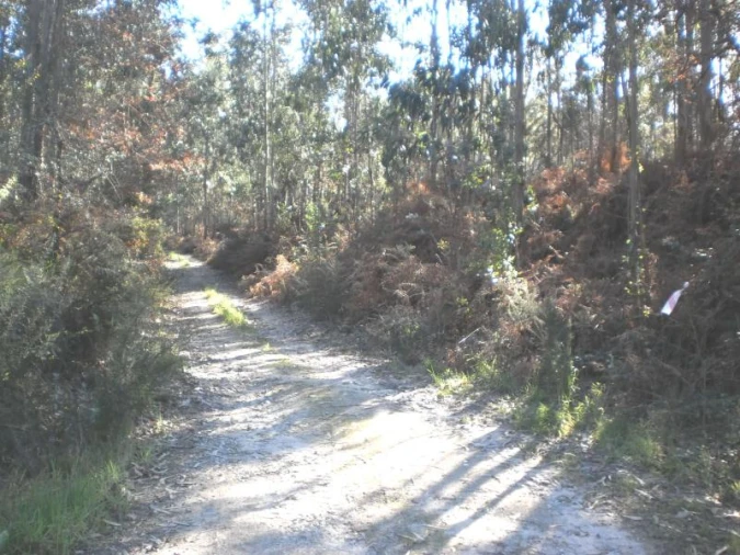 Terreno para Venda em Gião Foto 6