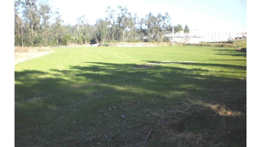 Terreno para Venda em Gião