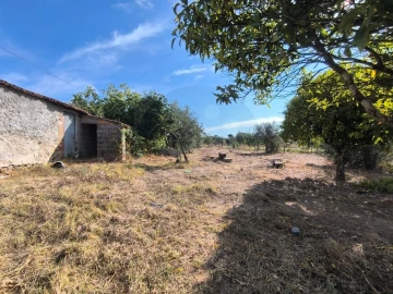 Moradia T5 para Venda em Mouriscas