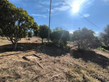Moradia T5 para Venda em Mouriscas