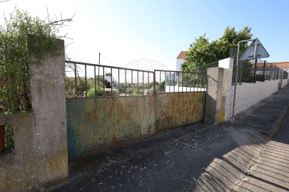 Terreno para Venda em Alpiarça