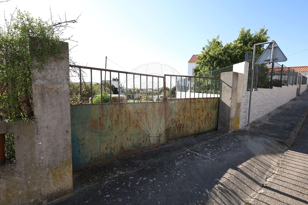 Terreno para Venda em Alpiarça Foto 6
