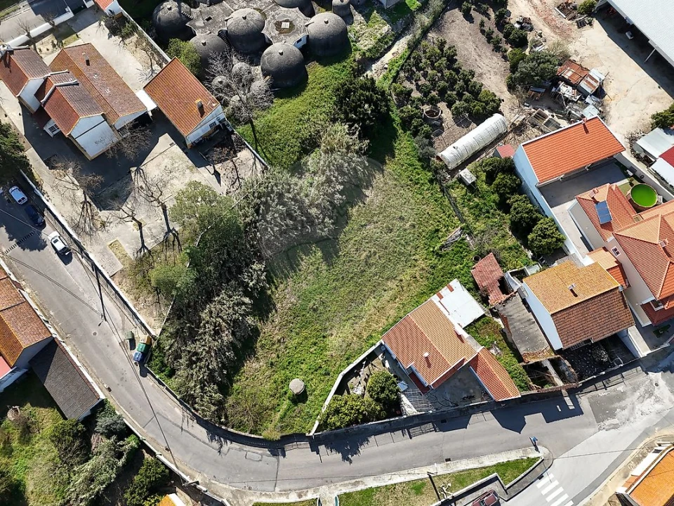 Terreno para Venda em Alpiarça Foto 1